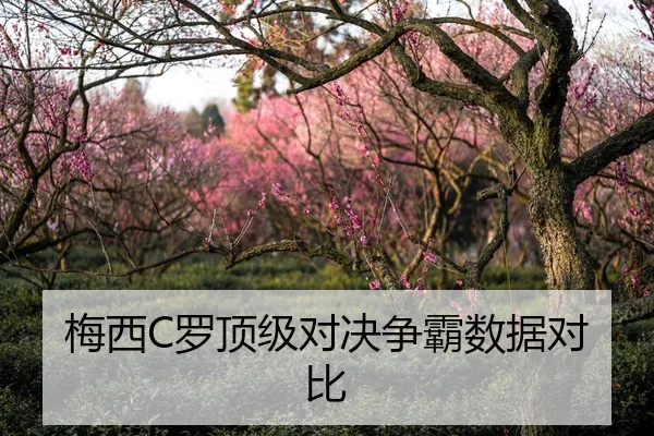 梅西C罗顶级对决争霸数据对比